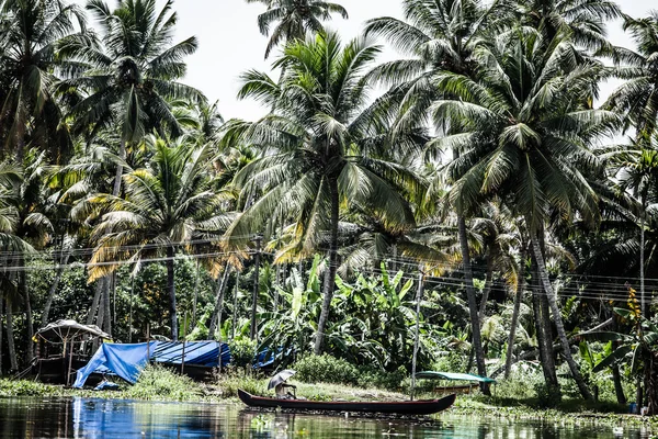 House boat in backwaters near palms in Alappuzha, Kerala, India — Stock Photo, Image