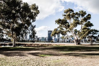kings Parkı Perth manzarası