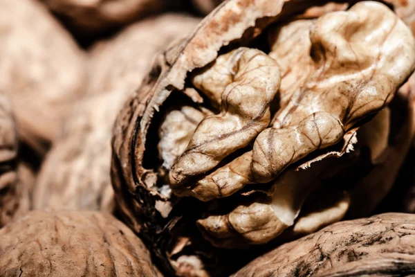 Walnuts in shells, one upon the other — Stock Photo, Image