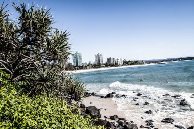 plaj goldcoast, queensland, Avustralya
