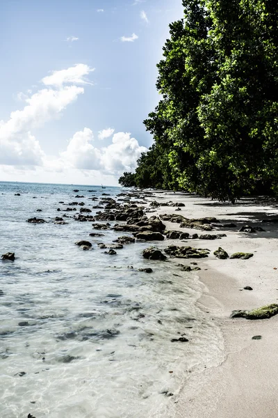 Paisaje foto de la tranquila playa isla —  Fotos de Stock