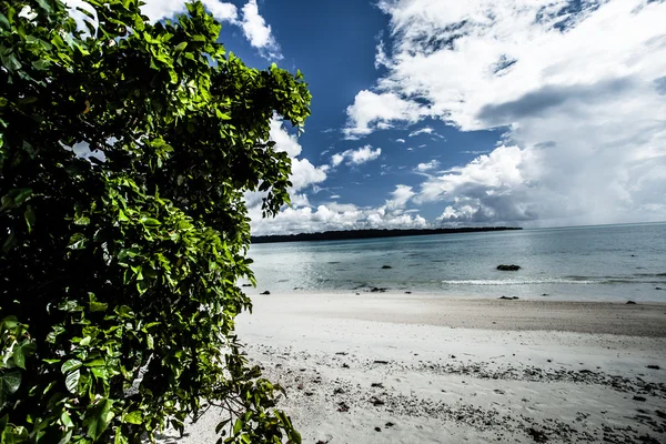 Landschap foto van rustige eiland strand — Stockfoto