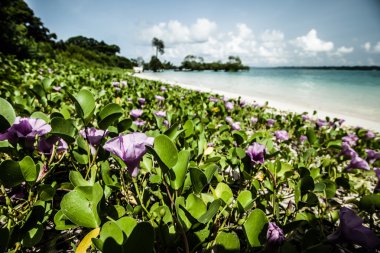 manzara fotoğraf sakin ada Beach
