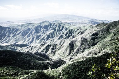 güzel vadi anaga Sıradağları, tenerife, Kanarya Adaları, İspanya