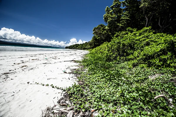 Paesaggio foto di spiaggia tranquilla dell'isola — Foto Stock