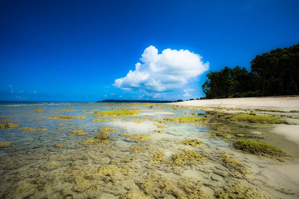 Paesaggio foto di spiaggia tranquilla dell'isola — Foto Stock