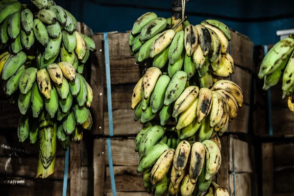 Árbol de plátano con un montón de plátanos — Foto de Stock