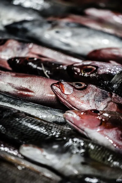 Fischmarkt in Indien — Stockfoto