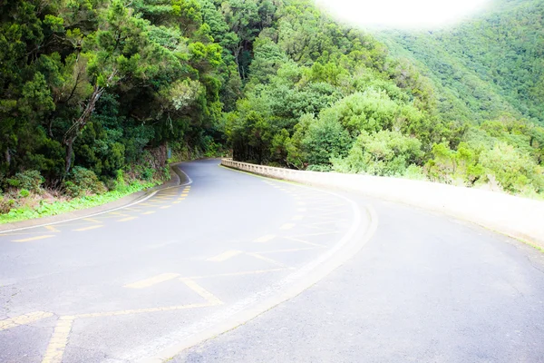 Beautiful road inside forest on Tenerife — Stock Photo, Image