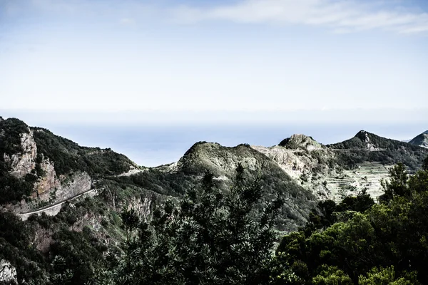 Pięknej dolinie anaga górski, Teneryfa, Wyspy Kanaryjskie, Hiszpania — Zdjęcie stockowe