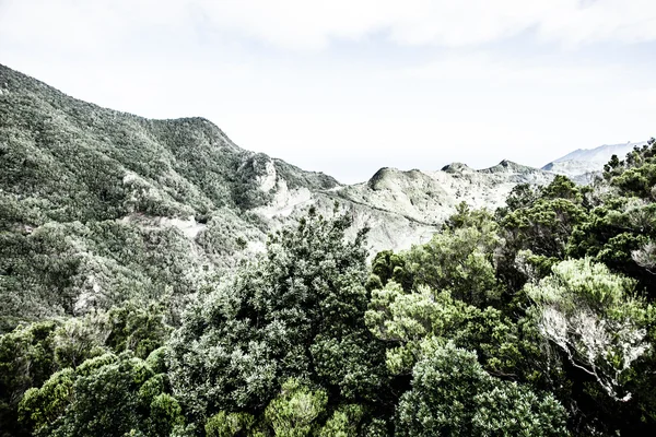 아나가 산 범위, 테네리페, 카나리아 제도, 스페인에서 아름 다운 계곡 — 스톡 사진