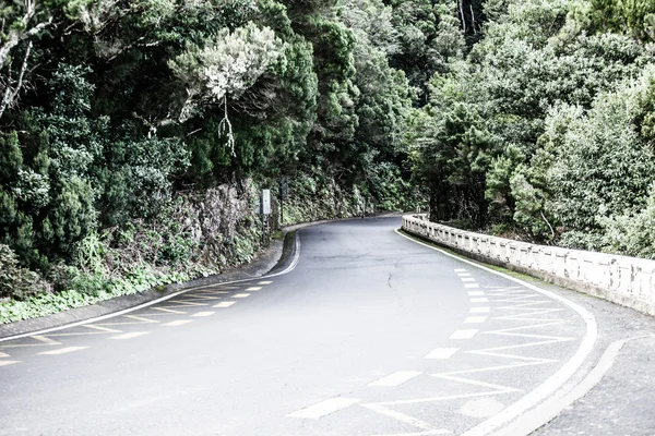 Schöne Straße im Wald auf Teneriffa — Stockfoto