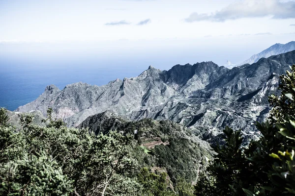 Beautiful valley in Anaga mountain range, Tenerife, Canary islands, Spain — Stock Photo, Image
