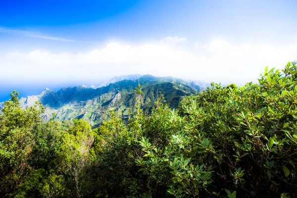 Lembah indah di Pegunungan Anaga, Tenerife, Kepulauan Canary, Spanyol — Stok Foto