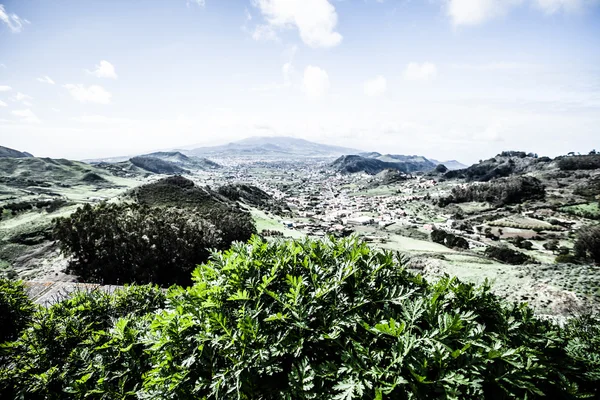 Beautiful valley in Anaga mountain range, Tenerife, Canary islands, Spain — Stock Photo, Image