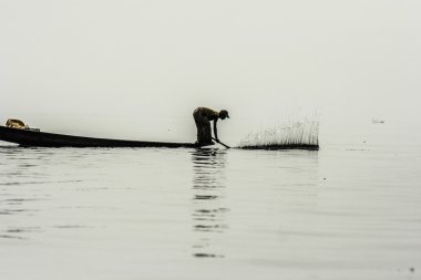 inle Gölü 'nde balıkçı, Myanmar.