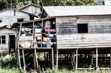 Peru, Perulu amazonas manzara. amazon fotoğraf mevcut tipik Hint kabileleri yerleşim