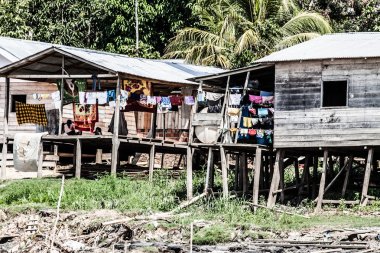 Peru, Perulu amazonas manzara. amazon fotoğraf mevcut tipik Hint kabileleri yerleşim