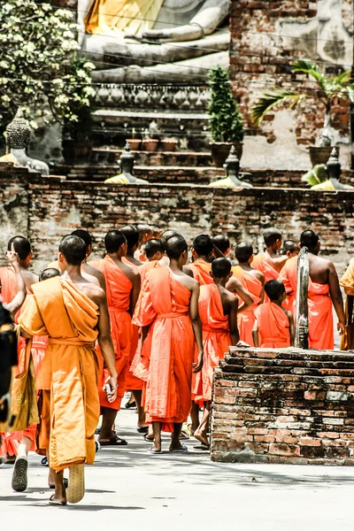 Munkar i ayutthaya, thailand — Stockfoto