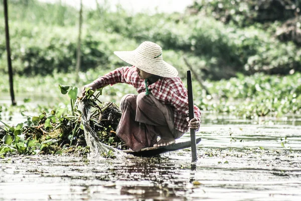 Невідомі робочі в М'янмі — стокове фото