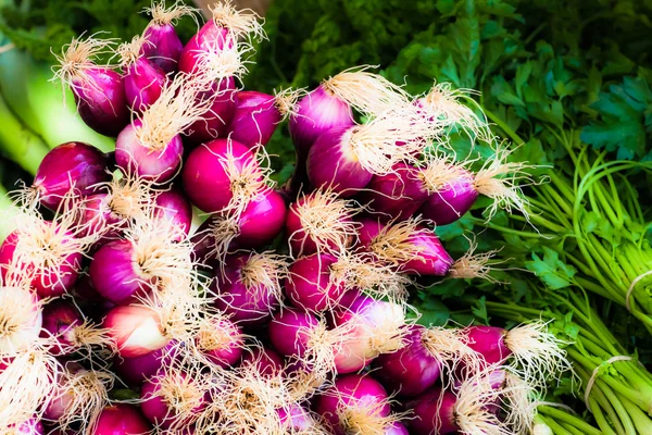 Ramo de cebollas rojas frescas en un mercado local — Foto de Stock