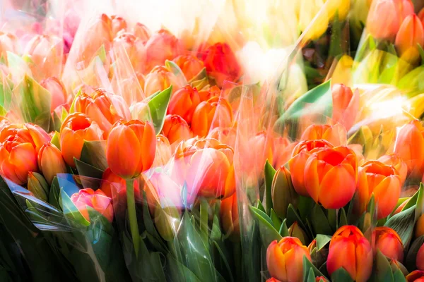 Tulipány barevné holandské dřevěný suvenýr pro prodej na tržišti — Stock fotografie