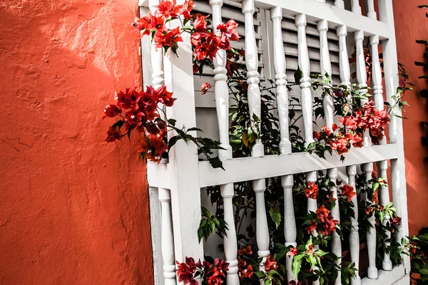 Cartagena de Indias, Colombia — Stock Photo, Image