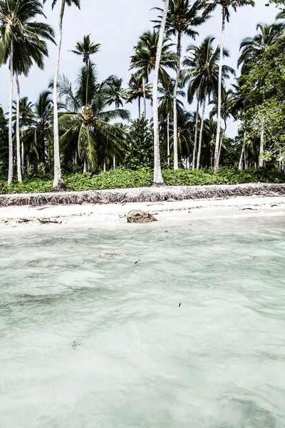 Grüne Palmenwälder auf der kolumbianischen Insel (hdr image ) — Stockfoto
