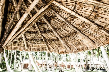 tropikal resort ve avuç içi, ada mahe, Seyşel Adaları