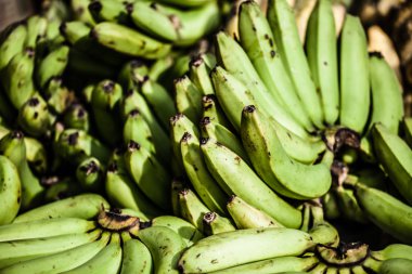 Çiftçi pazarında meyve ve sebze.