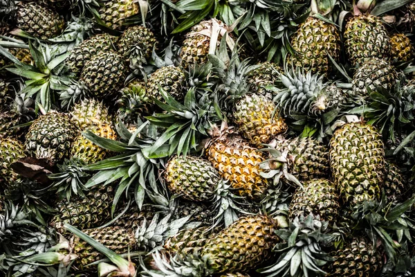 Färsk ananas i en marknadsplats — Stockfoto