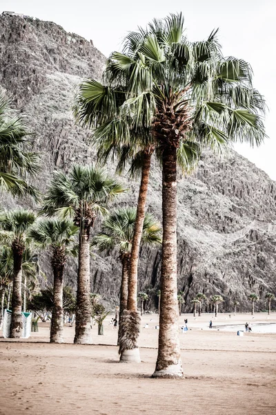 Beach Teresitas in Tenerife - Canary Islands Spain — Stock Photo, Image