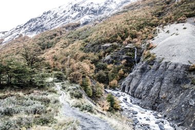 milli park torres del paine, patagonia, Şili