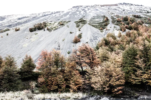 Der Nationalpark torres del paine, Patagonien, Chile — Stockfoto