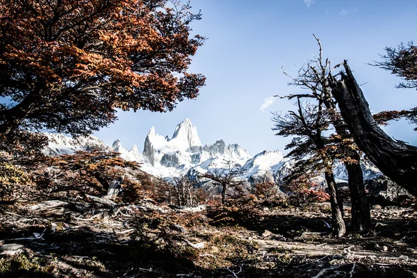 Přírodní krajina s mt. fitz roy v los glaciares national park, Patagonie, argentina — Stock fotografie