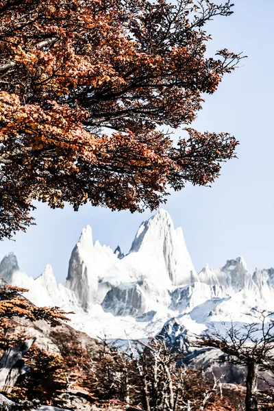 Paisaje natural con Mt. Fitz Roy en Parque Nacional Los Glaciares, Patagonia, Argentina — Foto de Stock