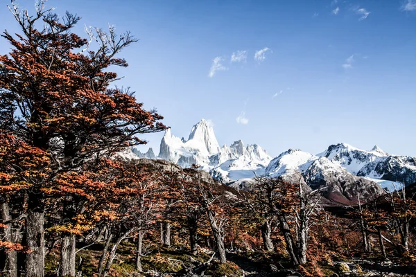 Přírodní krajina s mt. fitz roy v los glaciares national park, Patagonie, argentina — Stock fotografie