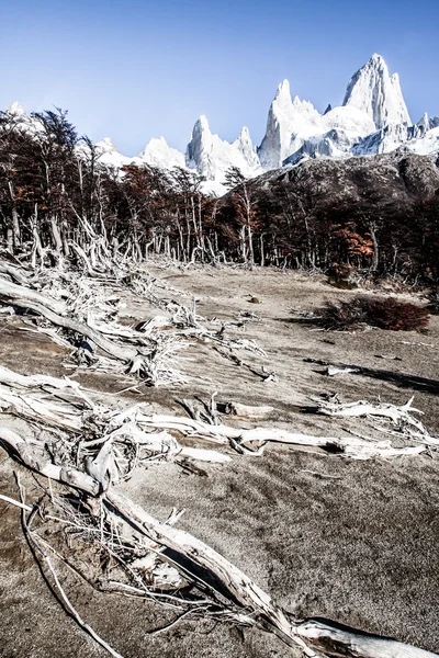 Természeti táj, a Mt. Fitz Roy a Los Glaciares Nemzeti Park, Patagónia, Argentína — Stock Fotó