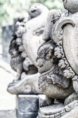 Borobudur Tapınağı'nda gündoğumu. Yogyakarta, java, Endonezya.