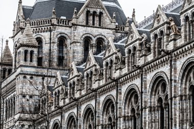 Doğal Tarih Müzesi, Londra, İngiltere
