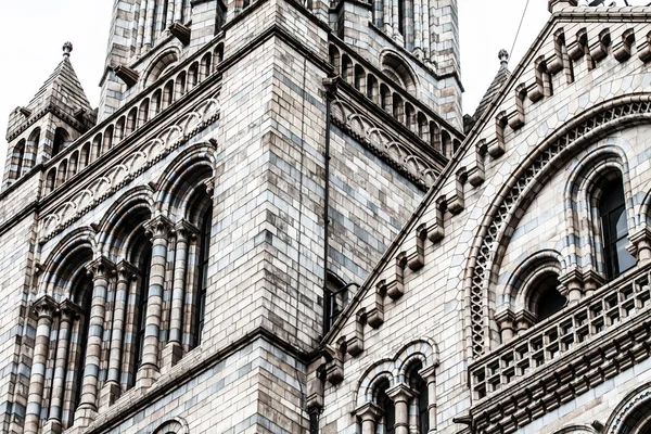 Natural History Museum, London, Anglia — Stock Fotó