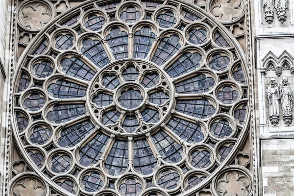 Přírodovědné muzeum, Londýn, Anglie — Stock fotografie