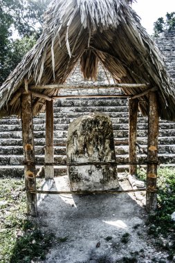 tikal Harabeleri Maya