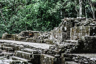 tapınaklarda copan ruinas, honduras