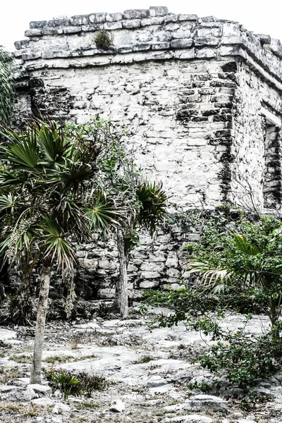 Arquitetura Maia Antiga e Ruínas localizadas em Tulum, México, ao largo da Península de Yucatán — Fotografia de Stock