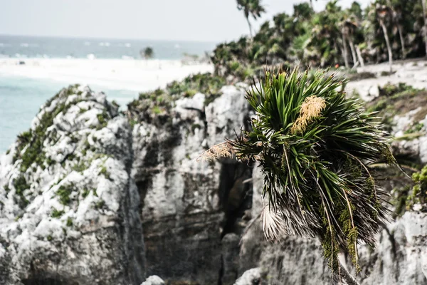 Oude Maya architectuur en ruïnes gelegen in tulum, mexico uit het schiereiland yucatan — Stockfoto