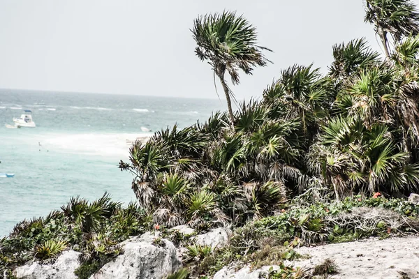 Ancient Mayan Architecture and Ruins located in Tulum, Mexico off the Yucatan Peninsula — Stock Photo, Image