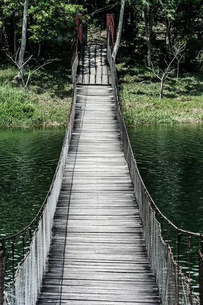 Holzbrücke im Wald — Stockfoto