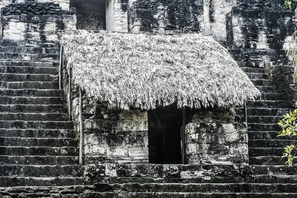 Μάγια ερείπια του Τικάλ — Φωτογραφία Αρχείου