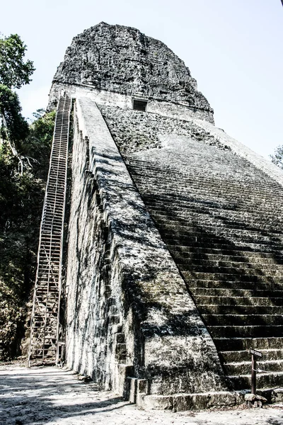 Tikal Harabeleri Maya — Stok fotoğraf